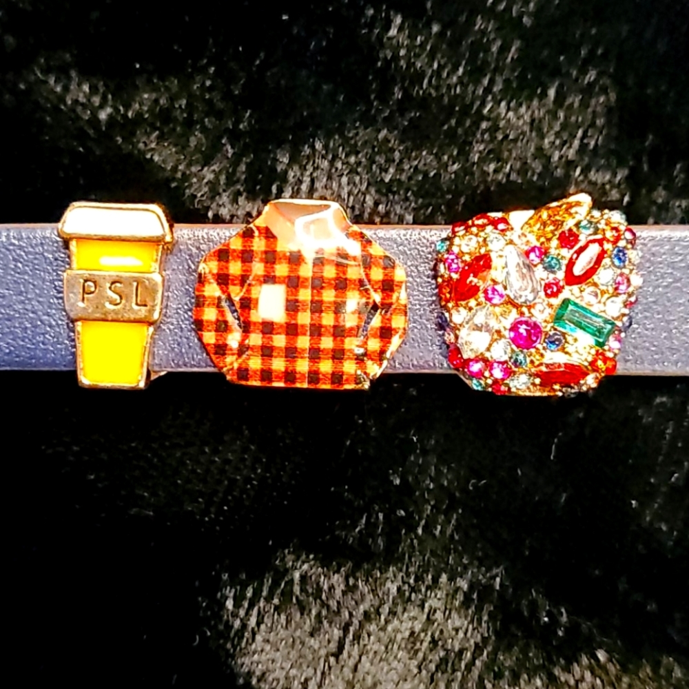 Stella&Dot Keep Collective Charm Set